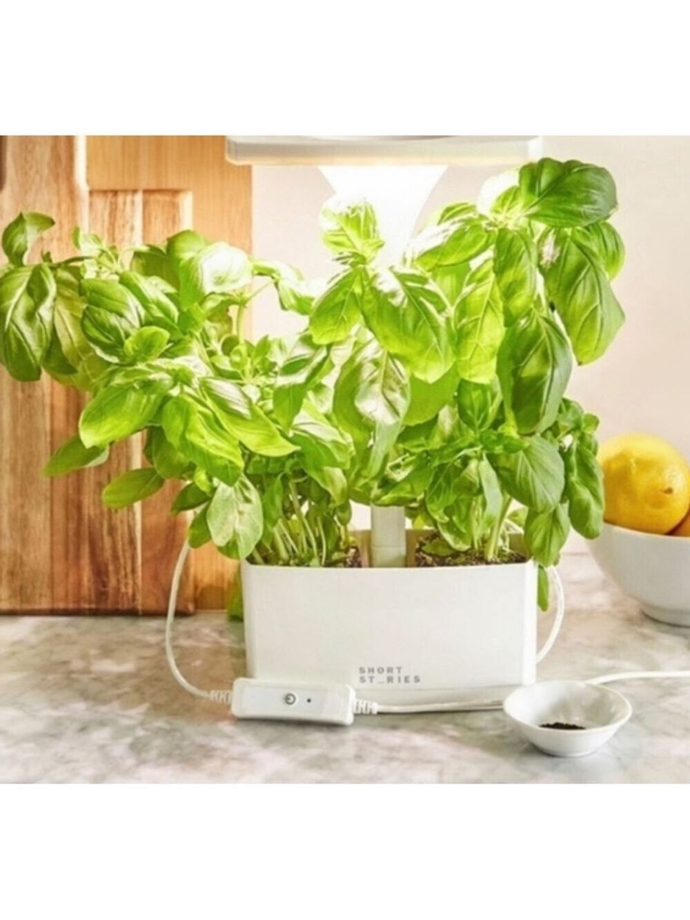 Short Stories Indoor Garden Planter - White - Herbs, Flowers - Picture 5 of 14